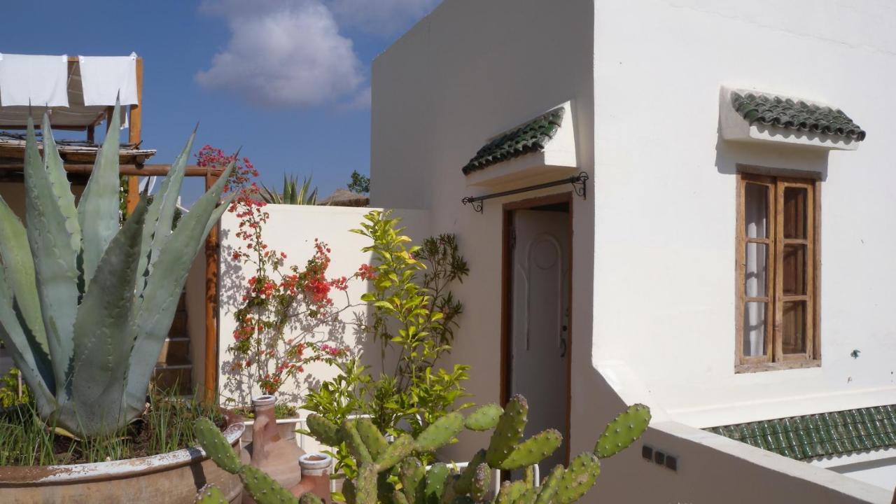 Double Room with Terrace,1589511858:JPEG
